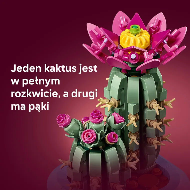 LEGO Botanicals, Kwitnący kaktus, 11509