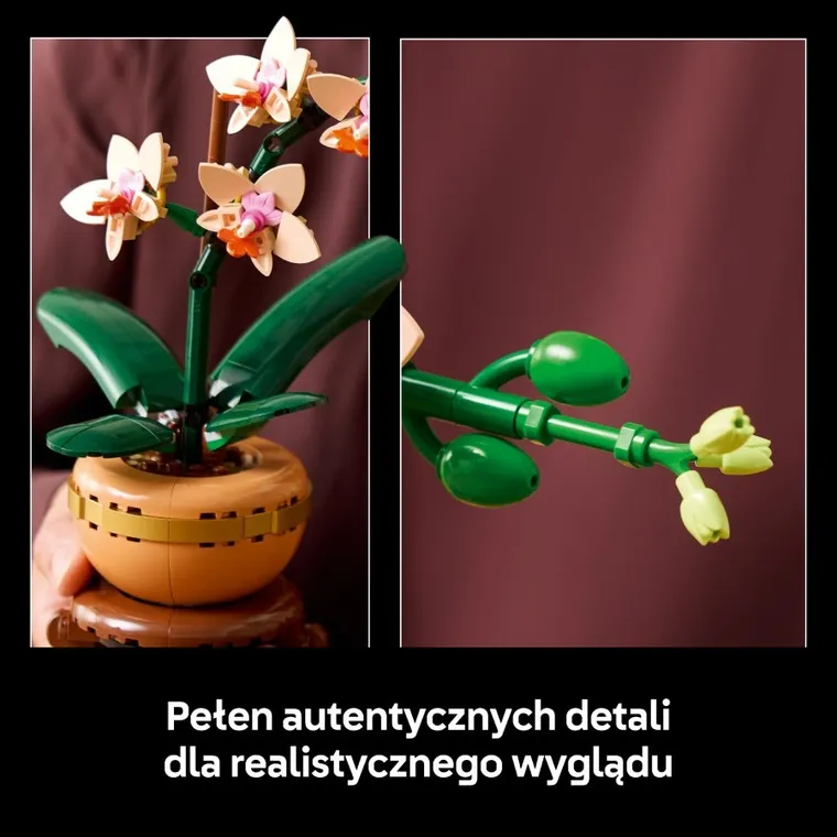 LEGO Botanicals, Mała orchidea, kwiaty, 10343