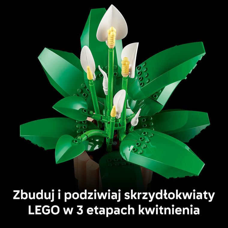 LEGO Botanicals, Skrzydłokwiat, 11504
