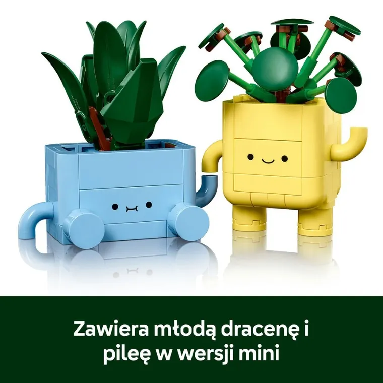 LEGO Botanicals, Wesołe roślinki, 10349