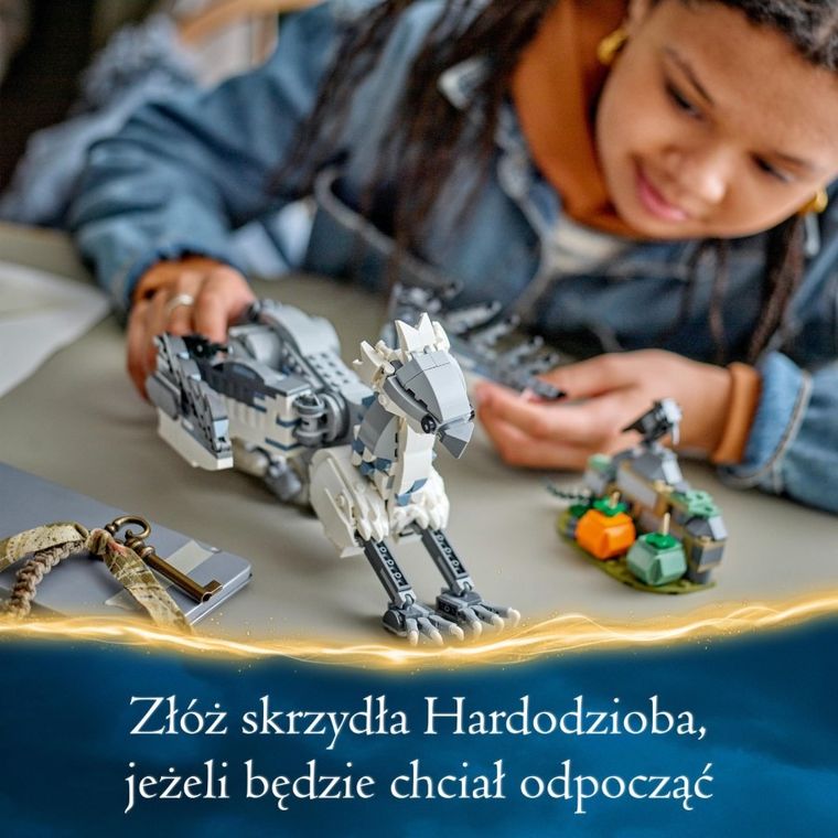 LEGO Harry Potter, Hardodziob, 76427