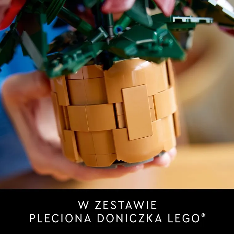 LEGO Icons, Gwiazda Betlejemska, 10370