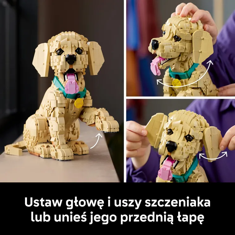 LEGO Icons, Szczeniak golden retriever, 11384