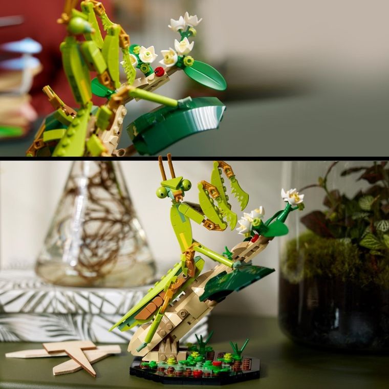 LEGO Ideas, Kolekcja owadów, 21342
