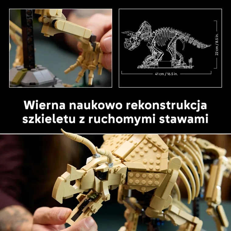 LEGO Jurassic World, Szkielety dinozaurów: triceratops, 77985