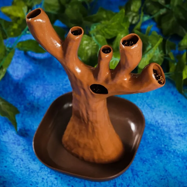 Lisciani, I'm a Genius, Nauka w domu, Botanika