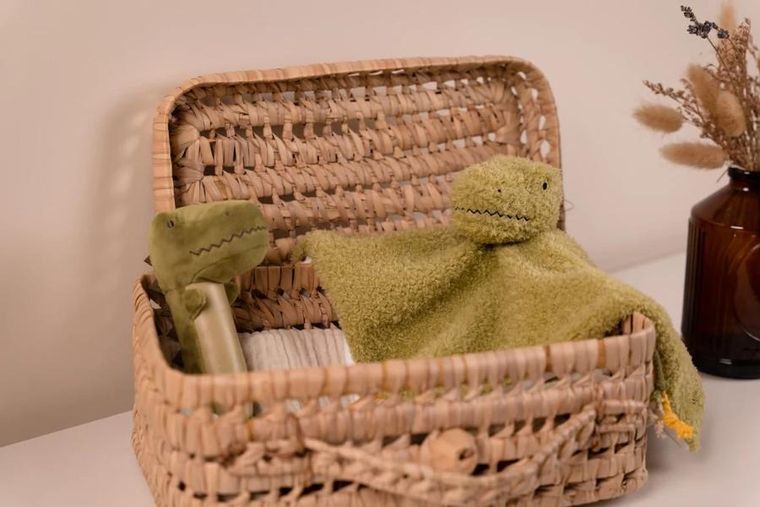 Little Big Friends, Dino Friends, zestaw prezentowy dla niemowlaka, zabawki sensoryczne