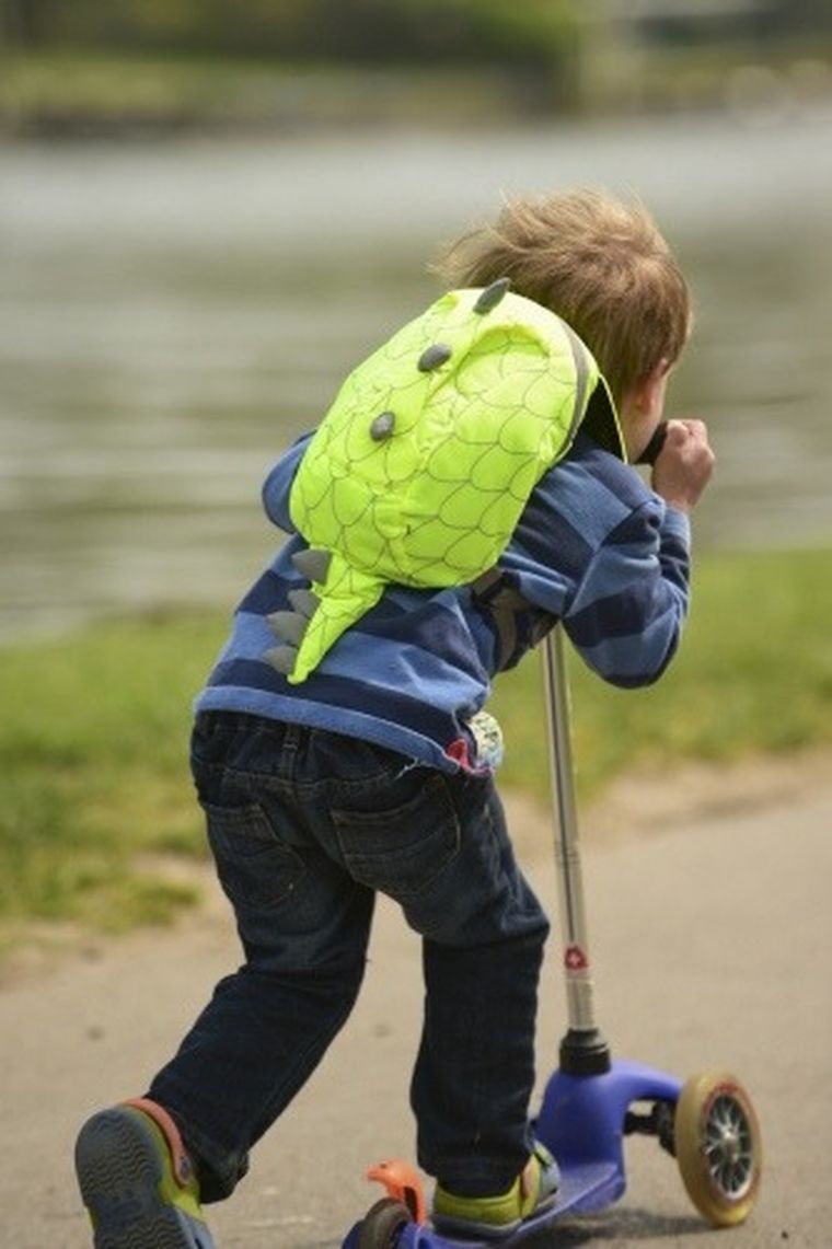 LittleLife, ActiveGrip, Dinozaur, plecak odblaskowy dla przedszkolaka, 1-3 lata