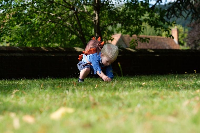 LittleLife, Dinozaur, plecak dla przedszkolaka