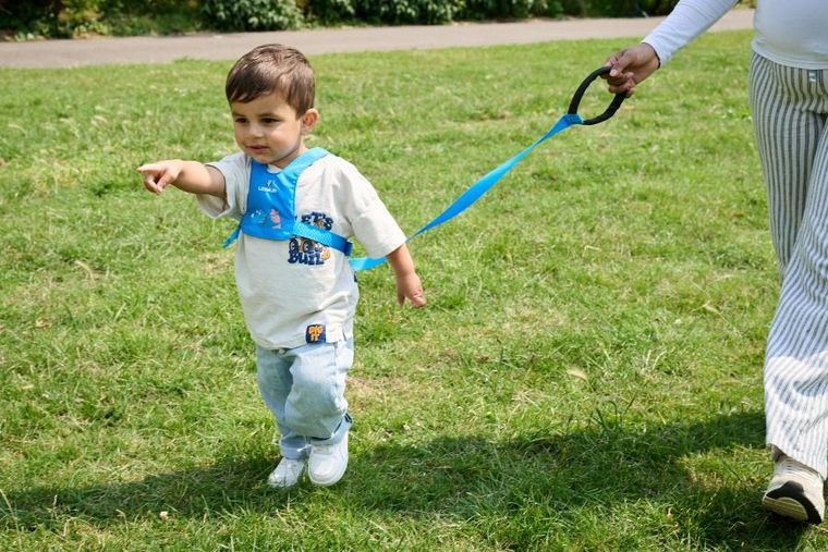 LittleLife, szelki bezpieczeństwa, Triceratops