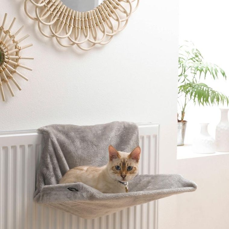 Love Story, Hamak dla kota na kaloryfer