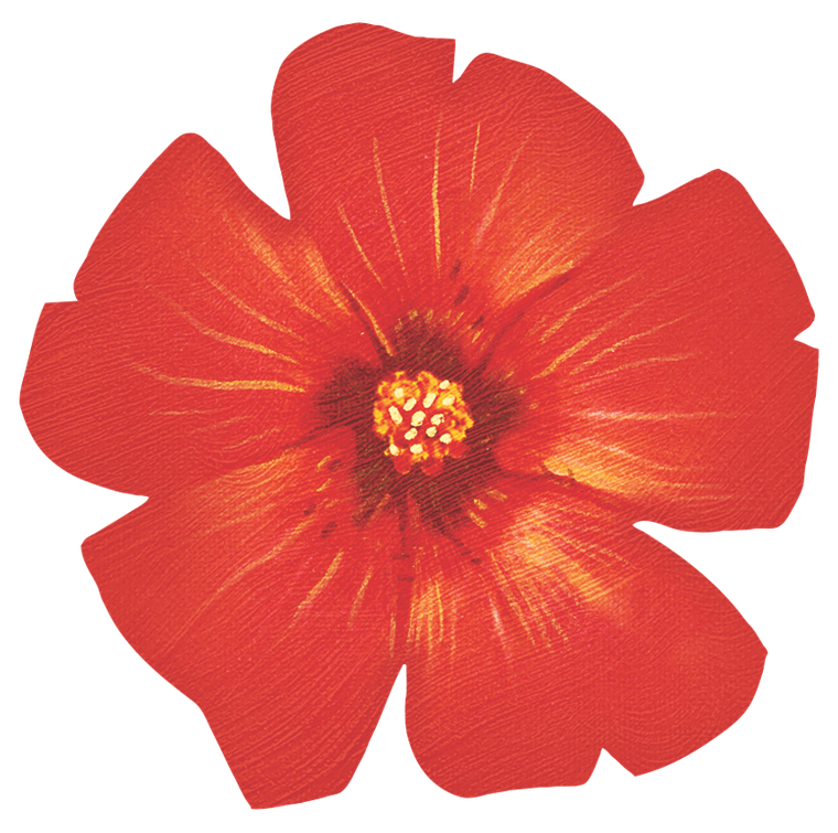 Lucky Duck Games, Hutan, gra familijna