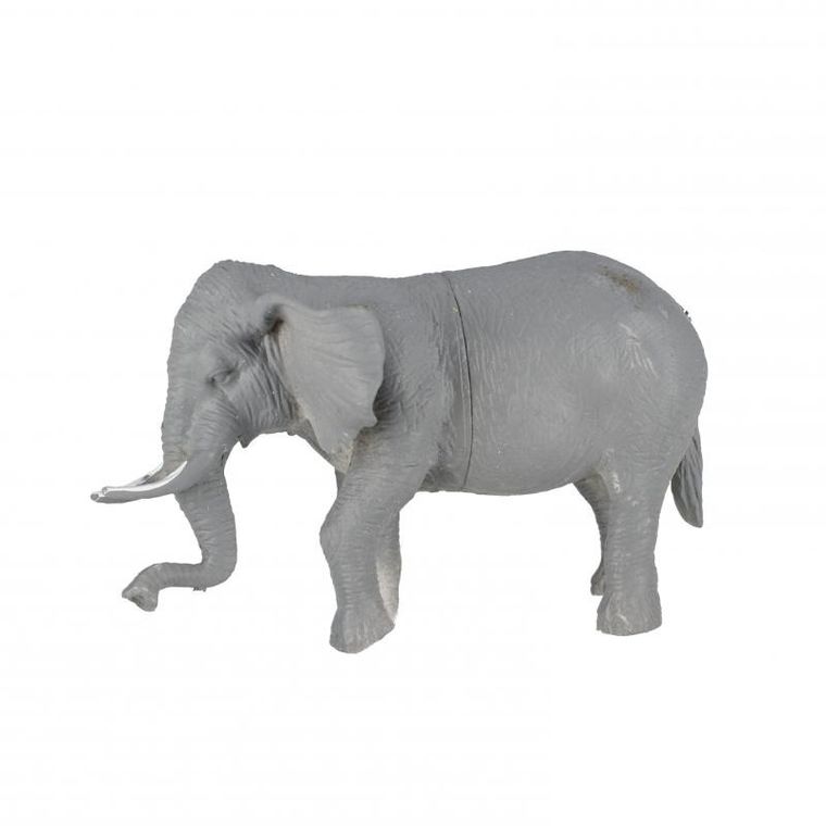 Mega Creative, dzikie zwierzęta