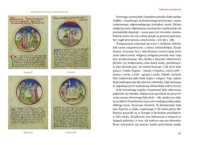 Me(m)diewistyka. Cudownie dziwna sztuka średniowiecza