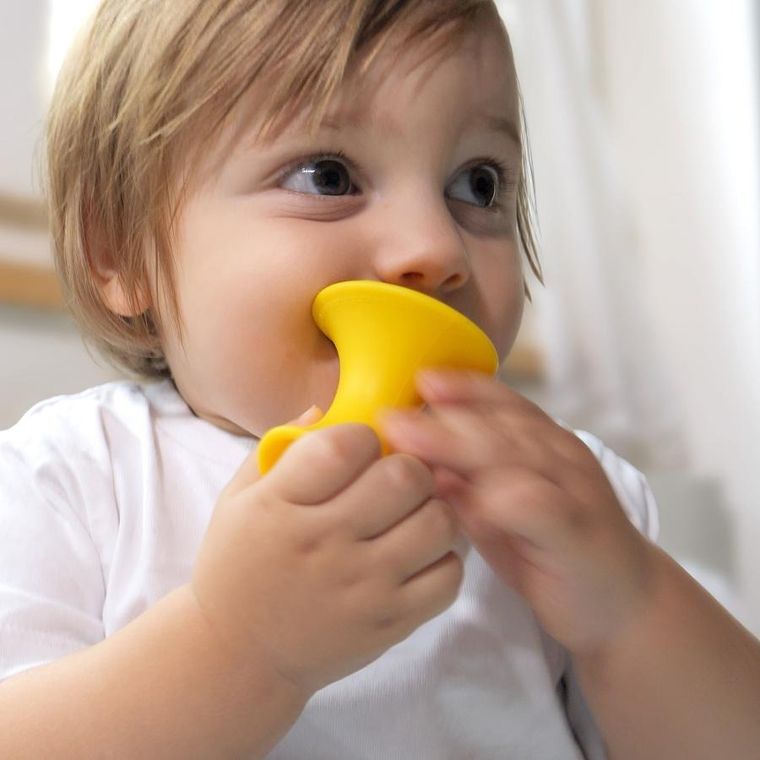 Moluk, Tulu, zabawka kreatywna, 3 elementy