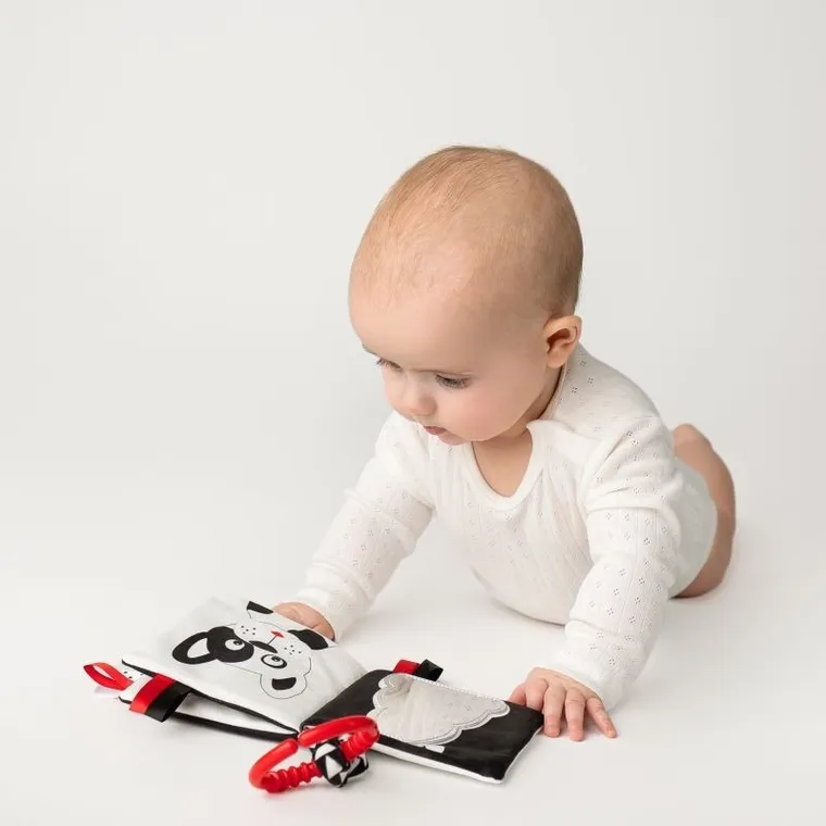 Mom's Care, Kto to? Co to? książeczka edukacyjna