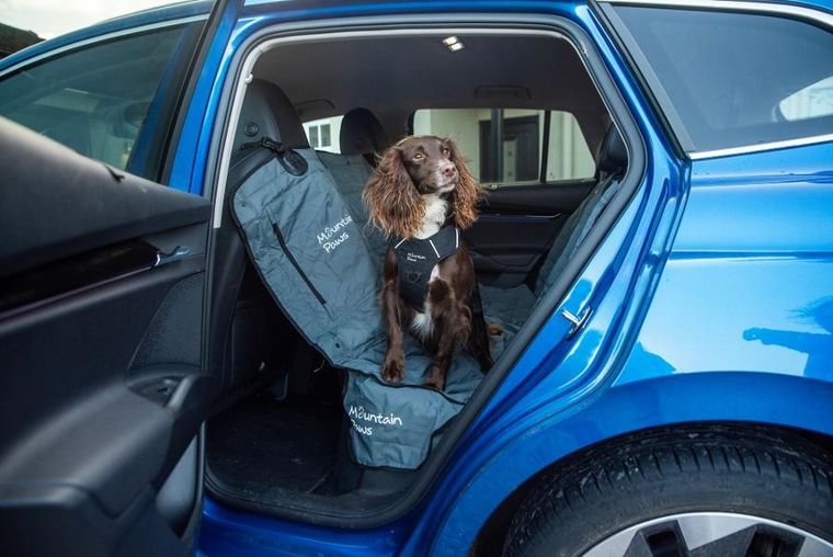 Mountain Paws, mata ochronna dla psa do samochodu