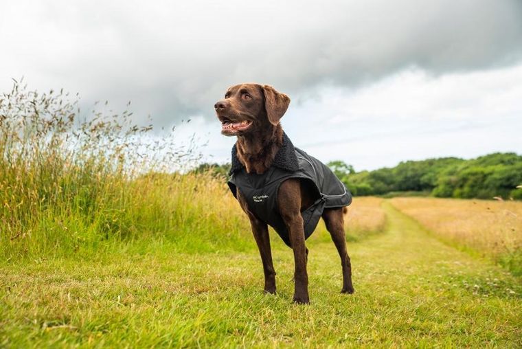 Mountain Paws, ocipelany płaszcz przeciwdeszczowy dla psa, rozmiar L