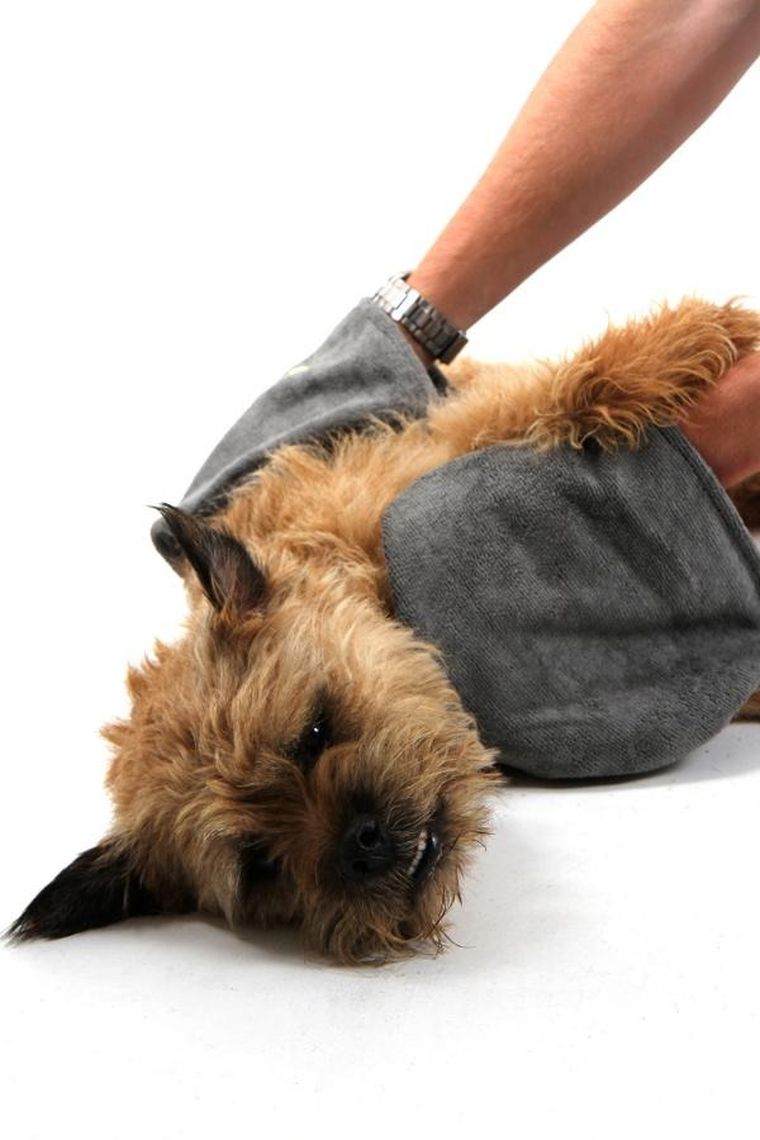 Mountain Paws, ręcznik do wycierania psa