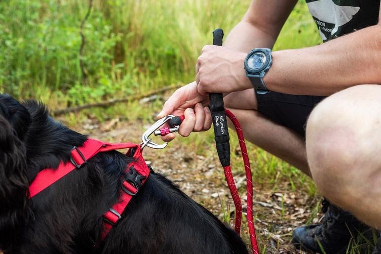 Mountain Paws, smycz linowa dla psa, czerwona, 120 cm