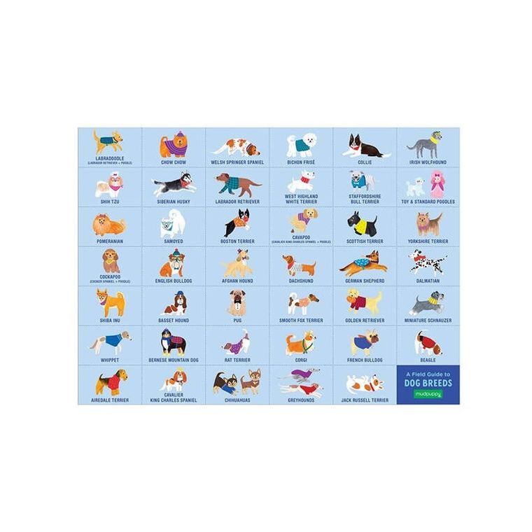 Mudpuppy, Park dla psów, puzzle obserwacyjne, 64 elementy