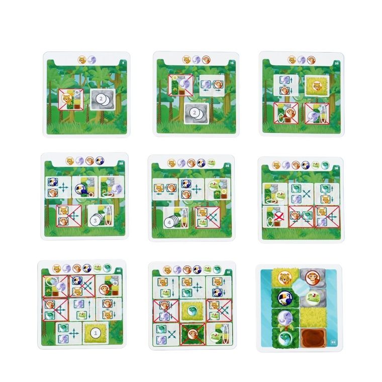 Muduko, Dżungla, 60 zagadek, gra logiczna