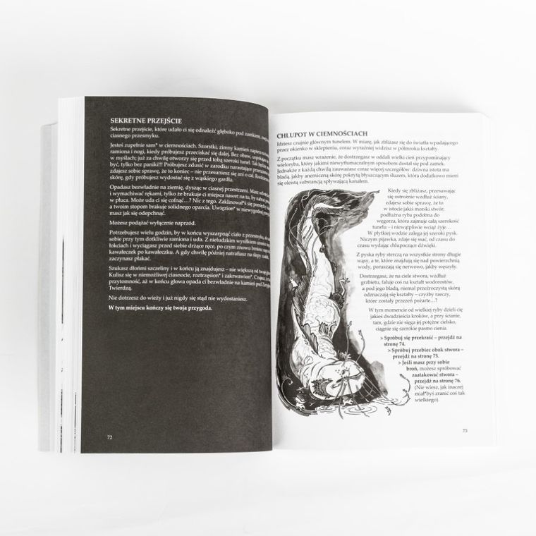 Muduko, W mroku wieży, gra książkowa