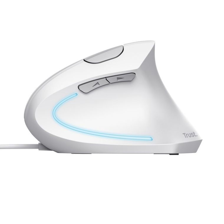 Mysz Trust Verto Ergo Mouse Wht