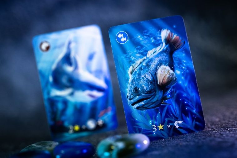 Nasza Księgarnia, Ekosystem 2, Rafa koralowa, gra familijna