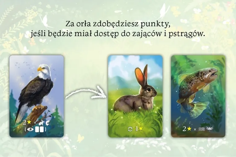 Nasza Księgarnia, Ekosystem, gra familijna