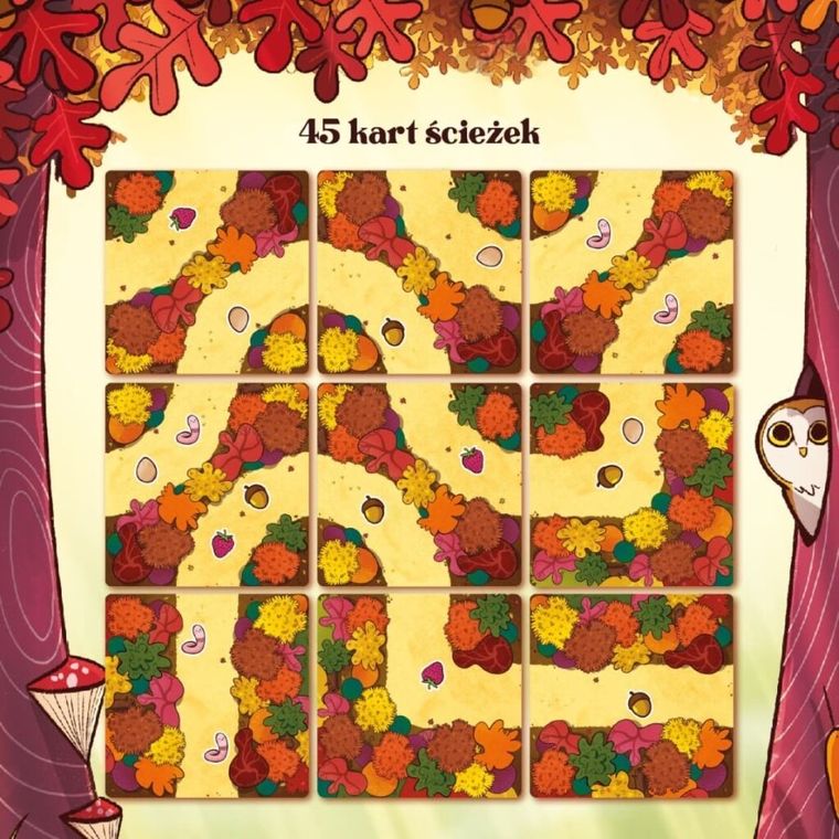 Nasza Księgarnia, Orzeszki ze ścieżki, gra familijna