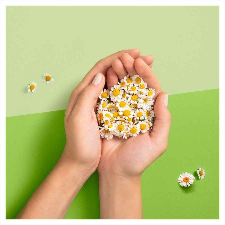 Naturella, Ultra Max+ 8