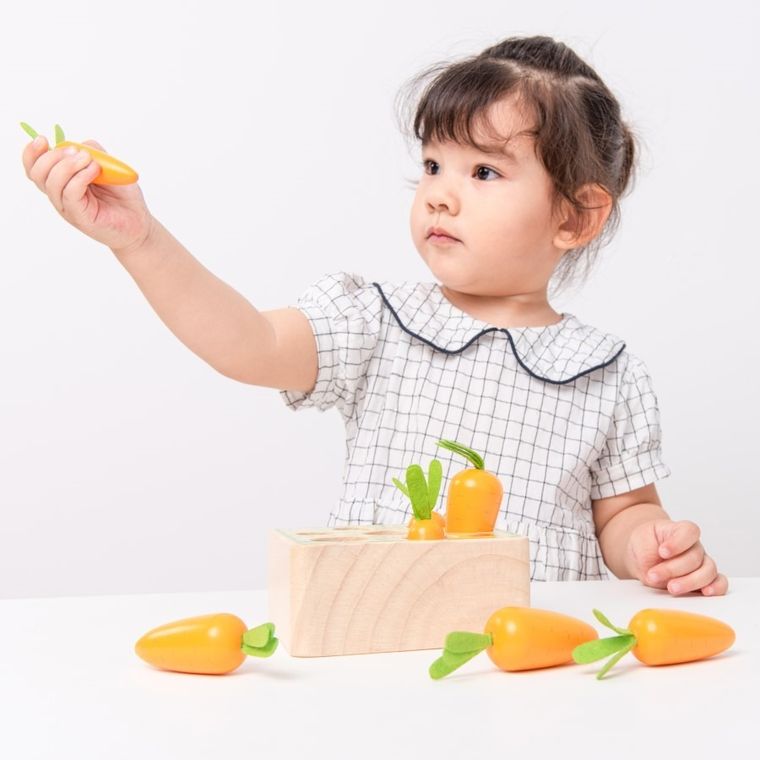 New Classic Toys, marchewki, sorter