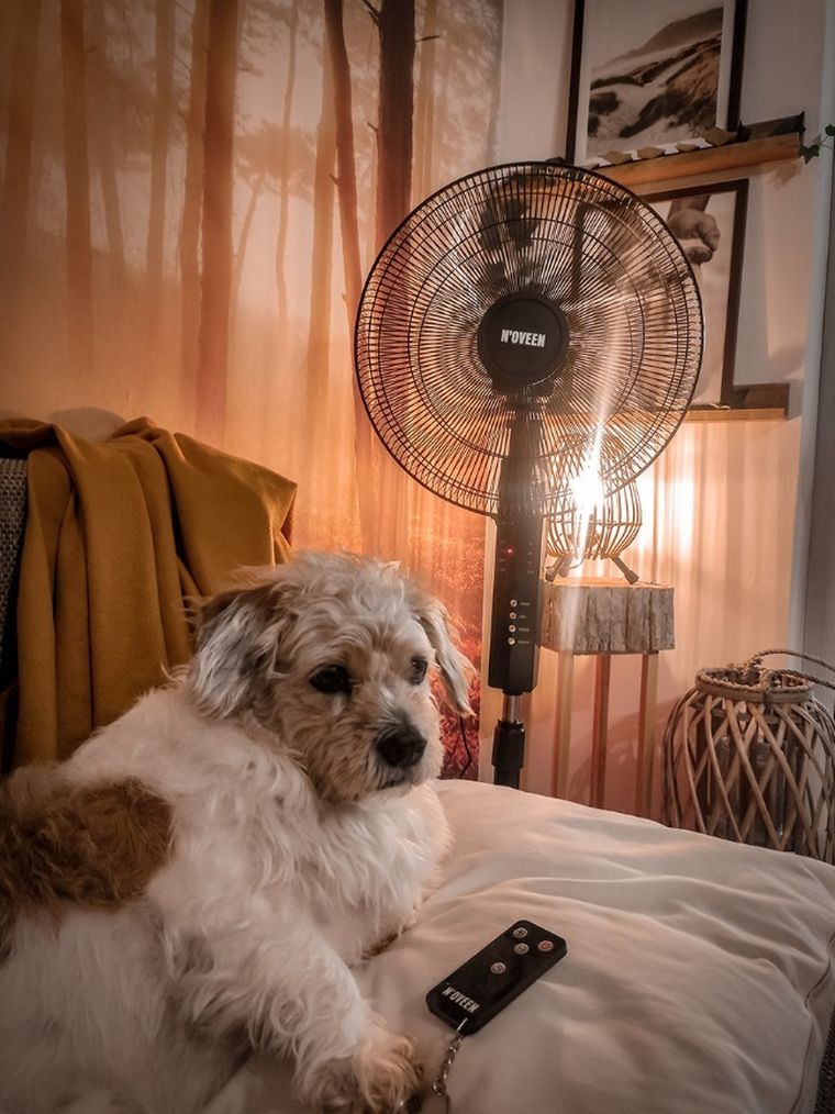 Noveen, wentylator stojący, pilot, 16”, 40cm, F455, 55w