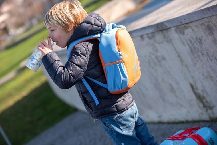 Oops, Miś, bidon aluminiowy, 500 ml