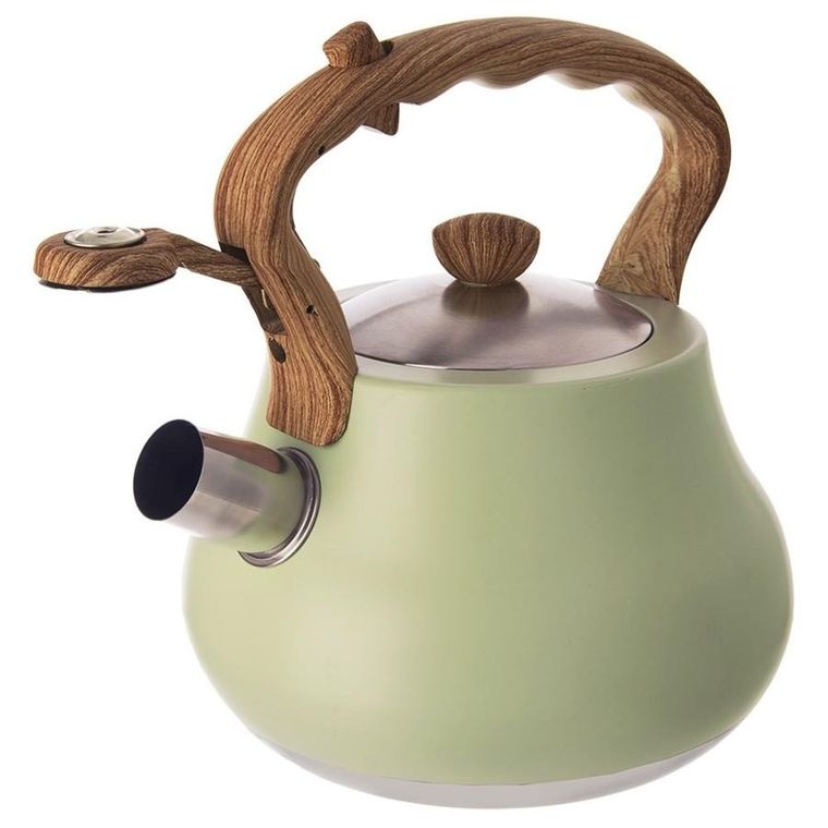 Orion, Greenish, czajnik z gwizdkiem, stalowy, 3l