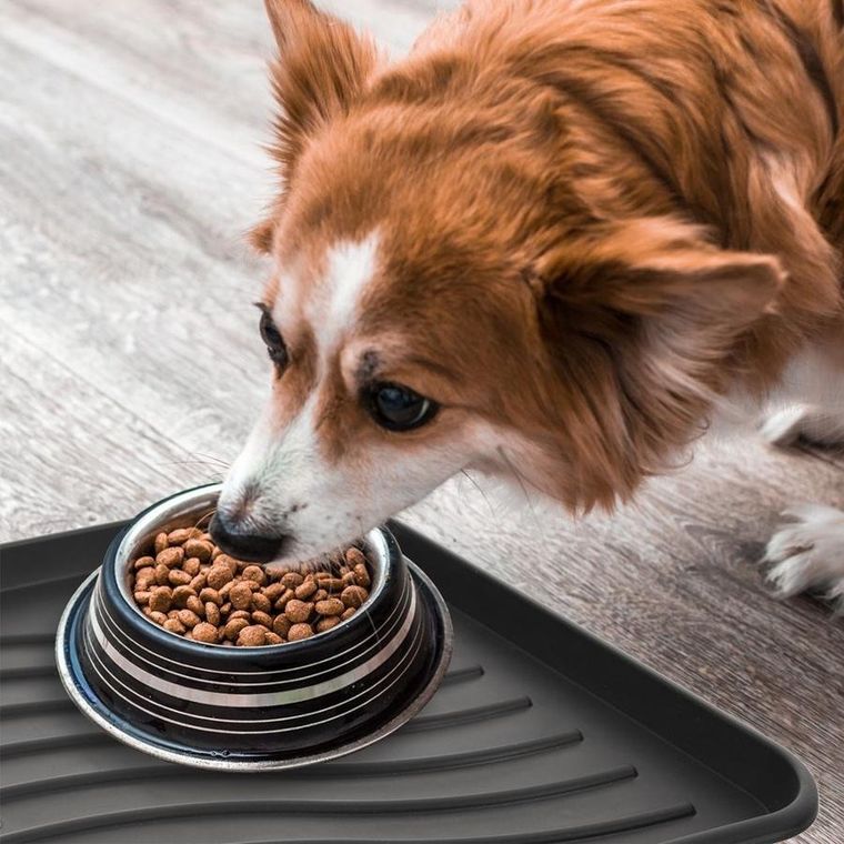 Orion, mata na buty, 77,5-38 cm