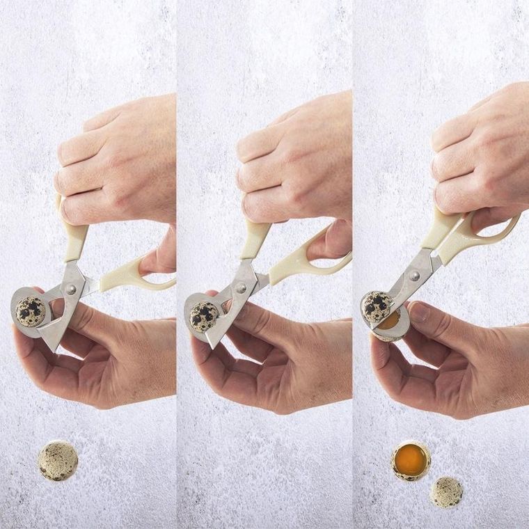 Orion, obcinacz do jajek, stalowy, 14.5 cm