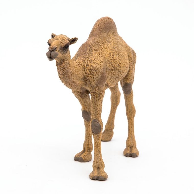 Papo, Dromader, figurka kolekcjonerska