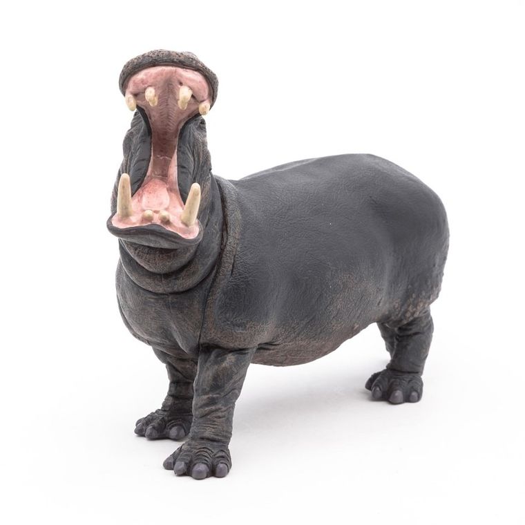Papo, Hipopotam, figurka kolekcjonerska