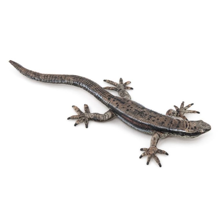 Papo, Jaszczurka żyworodna, figurka