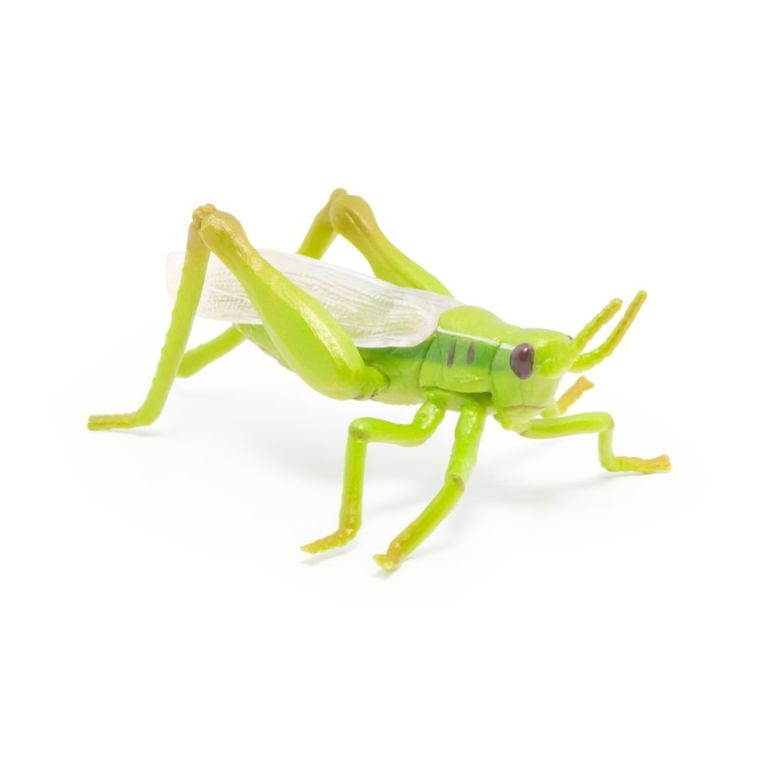 Papo, Konik polny, figurka