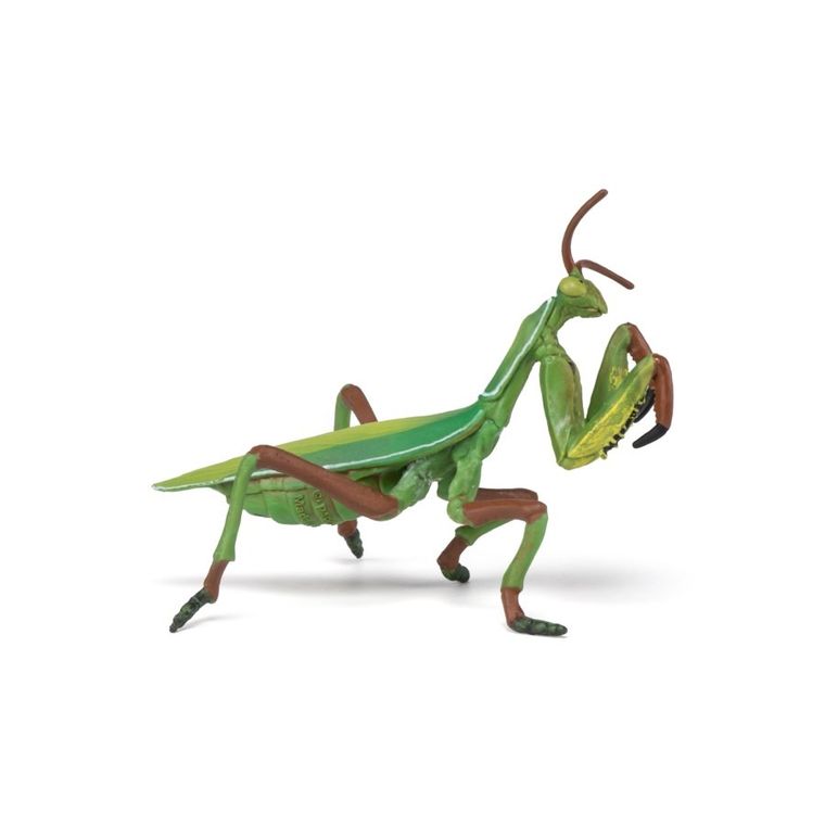 Papo, Modliszka, figurka