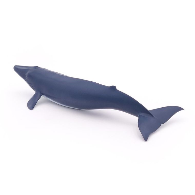 Papo, Płetwal błękitny młody, figurka