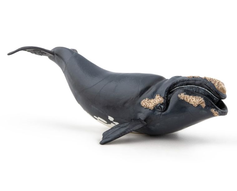 Papo, Waleń, figurka