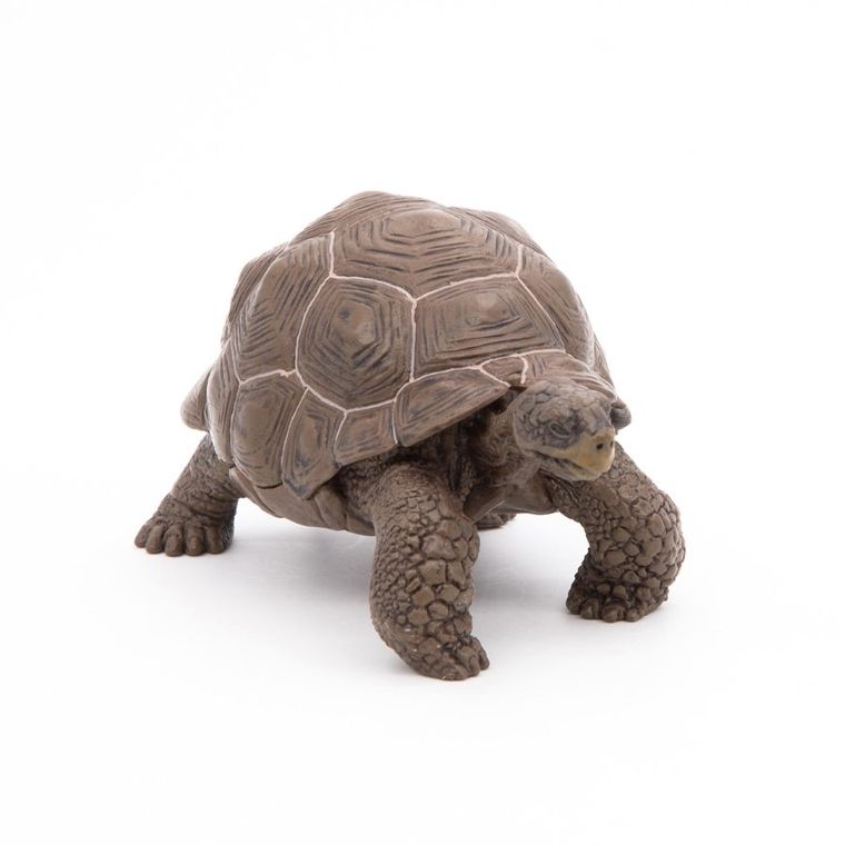 Papo, Żółw słoniowy, figurka kolekcjonerska