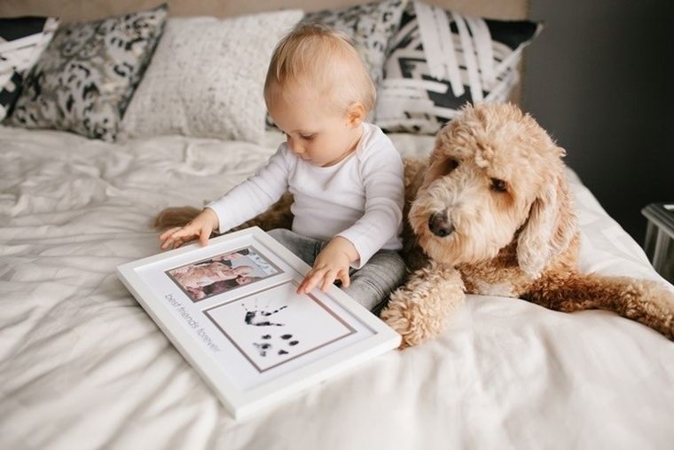 Pearhead, ramka z miejscem na odcisk