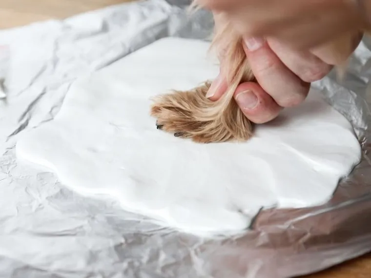 Pearhead, ramka z odciskiem łapy pupila, stojąca