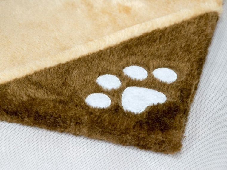 Pethaus, drapak, domek dla kota, beżowo-brązowy, 112 cm