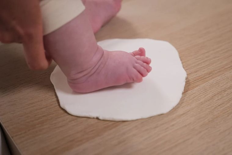 Petit Artichaut, Serca, dwupanelowa ramka na odcisk i zdjęcie